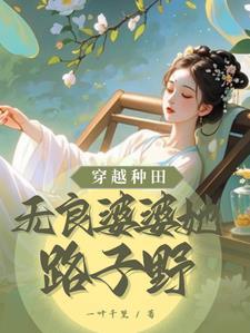 穿越古代农家恶婆婆的种田