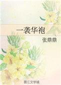 一袭华丽的袍子