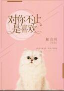 对你不止是喜欢 番外