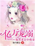 腹黑老公宠萌妻