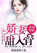 第一暖婚穆先生爱妻成瘾txt