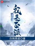我真的是正派 境界