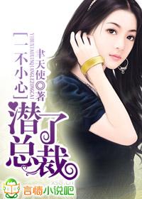 一不小心潜了总裁叶梓
