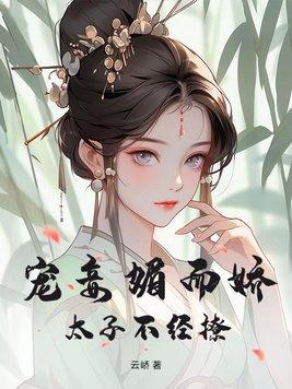 太子宠妾珠儿讲了什么