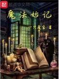 魔法始记奇书网