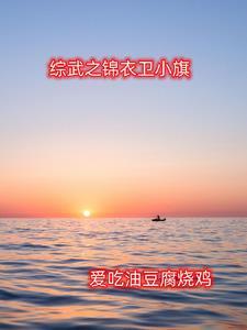 锦衣卫综武侠