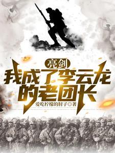 亮剑重生我是李云龙