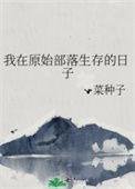 我在原始部落生存的日子讲了什么