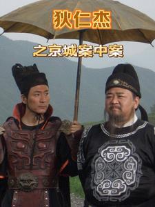狄仁杰案件的排列顺序