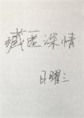 藏匿深情txt百度