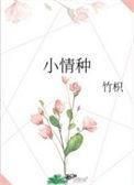 小情种竹枳全文免费阅读