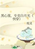 黑心莲专克白月光快穿格格党
