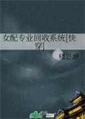 女配专业回收系统[快穿