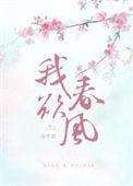我与春风皆过客歌曲