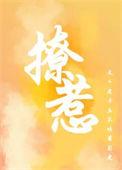 撩妻txt
