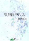 望他眼中起风笔趣阁