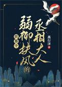 朕那个弱柳扶风的丞相大人免费阅读笔趣阁