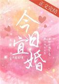 今日宜婚免费阅读全文