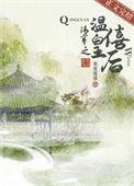 清穿独揽君心番外免费阅读