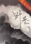 野巷什么意思