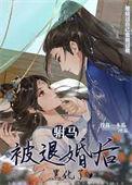 驸马被退婚后黑化了作者投你一木瓜