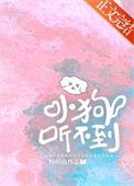 小狗听不到全文阅读