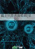 霸主是什么意思