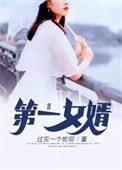 第一女婿过完一个轮回免费阅读