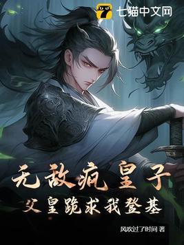 无敌皇上的