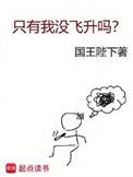 只有我没飞升吗评价