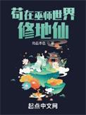 巫师世界的修真者