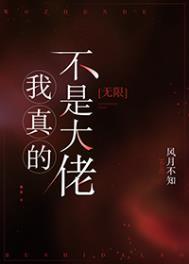 我真的不是大佬全文免费阅读