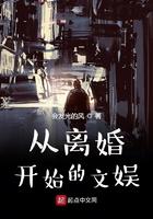 从离婚开始的文娱全文免费阅读