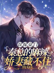 我的老公是大佬