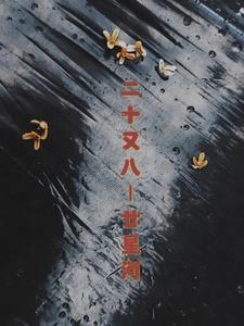 二十加八产业