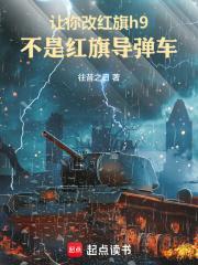 红旗h9魔改