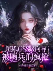 哨兵向导觉醒