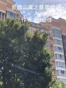 爱情 公寓