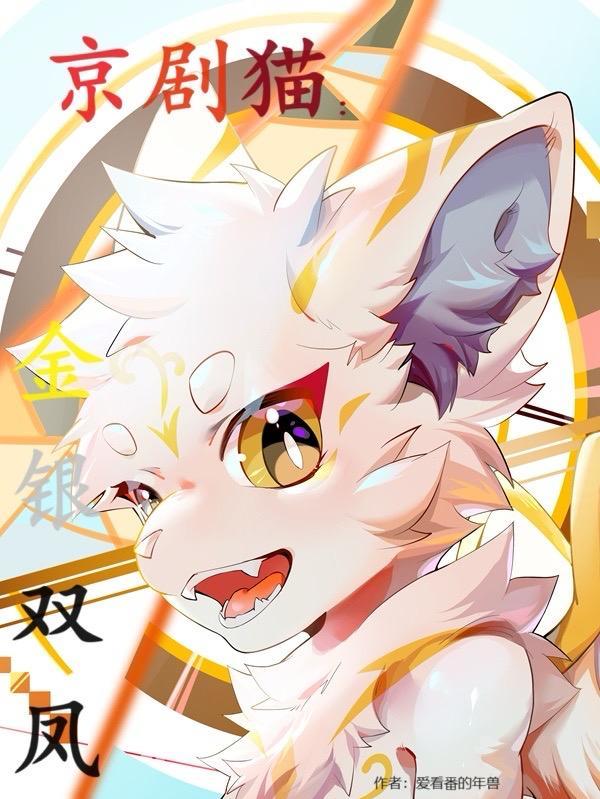 京剧猫之黑白双猫