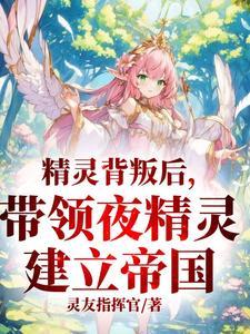 夜之精灵是什么