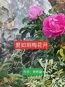遥远的刺梅花开阅读