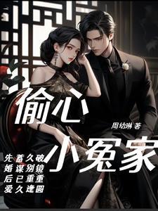 偷心俏冤家一共几部?