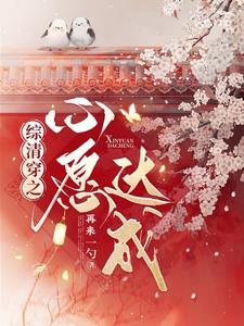 综清穿之妃