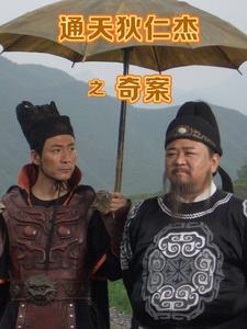 通天狄仁杰15集