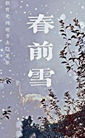 春前雪 菜紫讲的什么