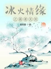 冰火情敌2007