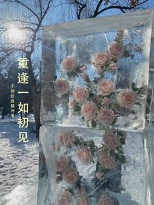 重逢亦是初见