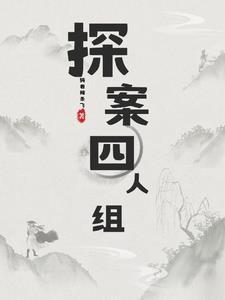 探案的案子