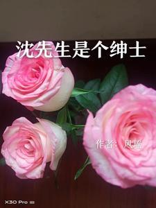 沈先生用的什么软件