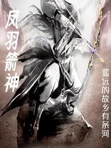 箭羽风息最低多少钱